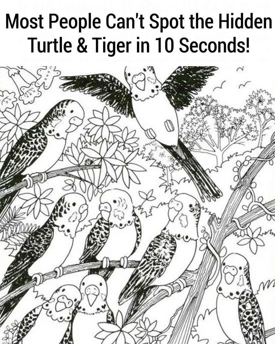 Can You Find the Hidden Turtle and Tiger in Just 10 Seconds?