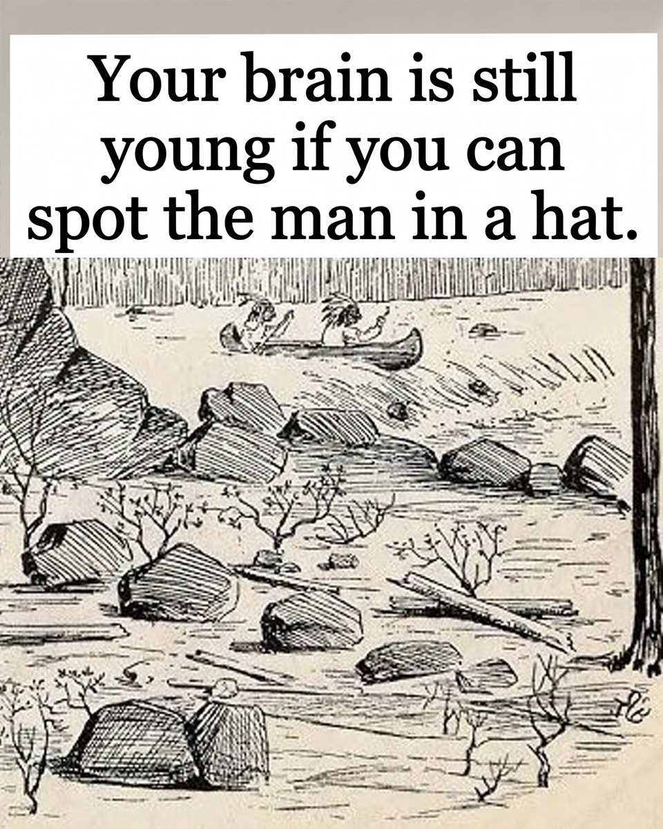 Can You Spot the Hidden Man in the Hat? Test Your Brain's Youth!