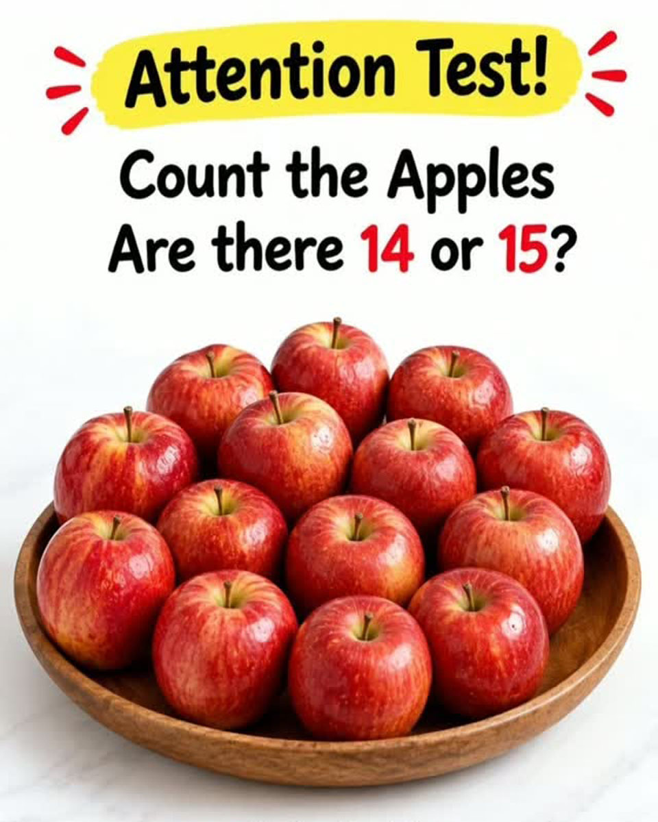 The Apple Puzzle Everyone Is Trying to Solve: 14 or 15?