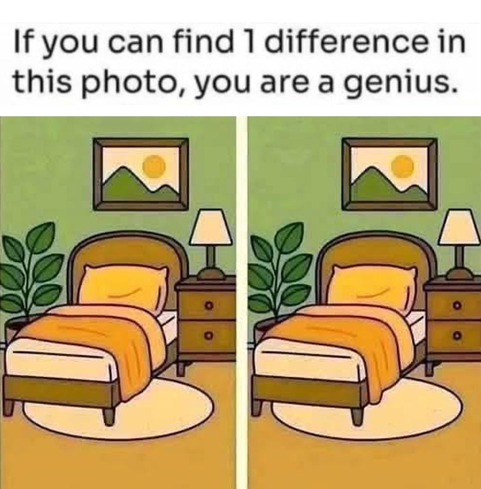 Can You Spot the Hidden Detail in This Cozy Bedroom Puzzle?