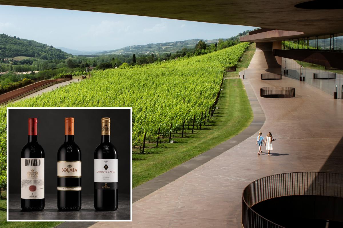 Italy's Biggest Wine Heist: How Thieves Stole $5.8M Worth of Bottles