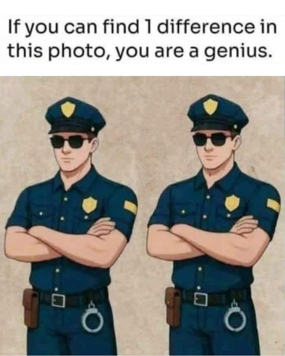 Can You Spot the Hidden Difference Between These Twin Officers?
