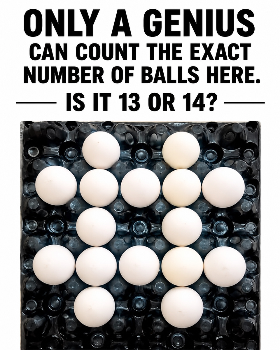 The Puzzle That Fooled Everyone: How Many Balls Do You Really See?