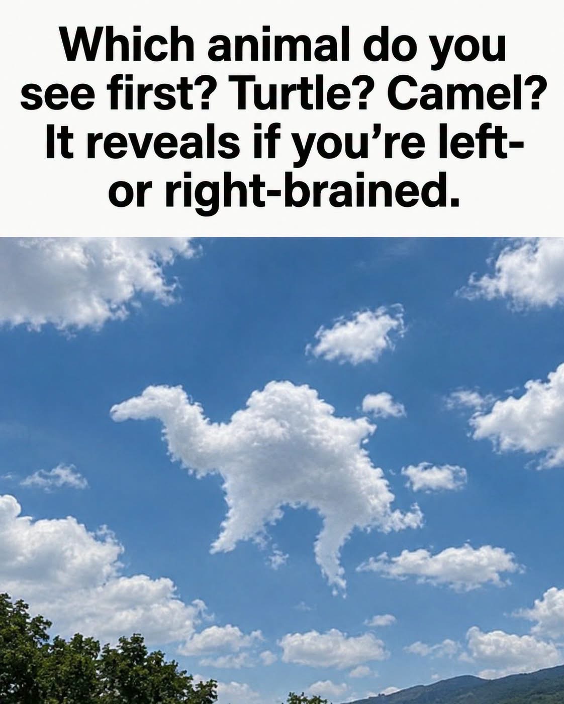 The Animal You Spot First Reveals Hidden Traits About You