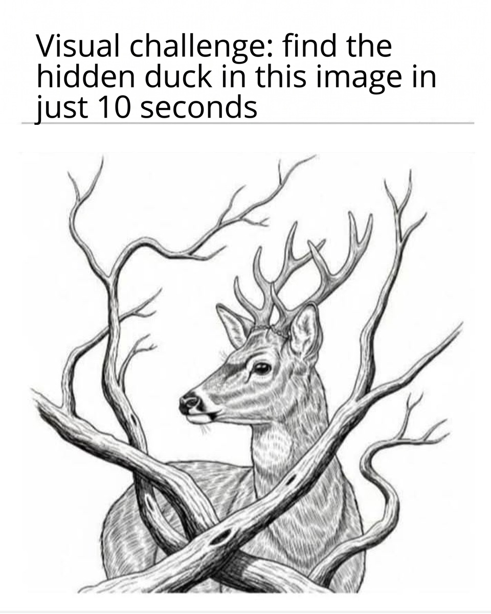Can You Spot the Hidden Duck in This Deceptive Deer Portrait?
