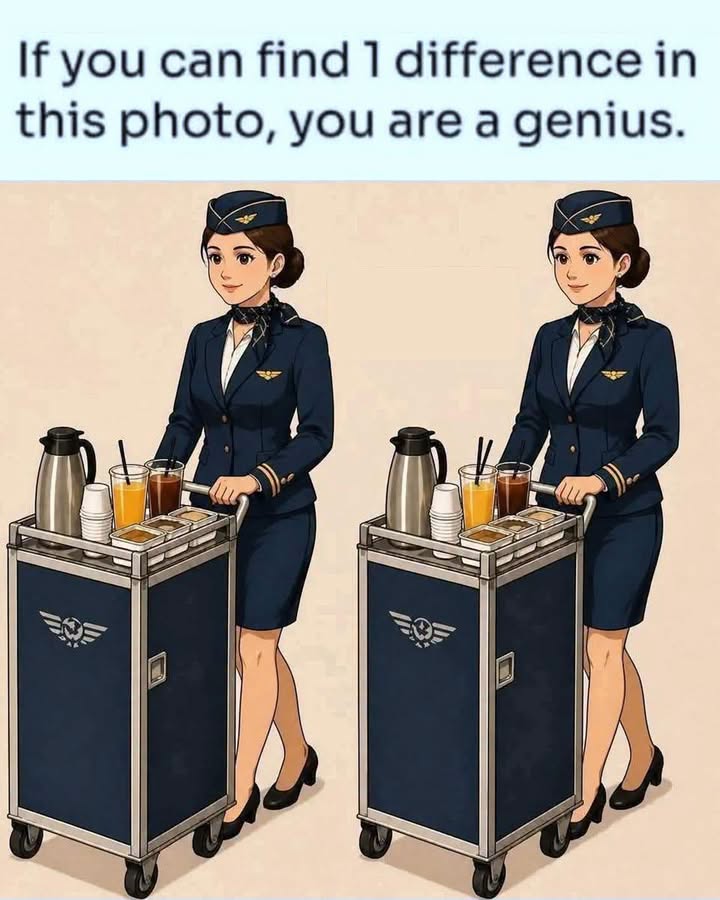 Can You Spot the Hidden Difference in These Flight Attendant Photos?