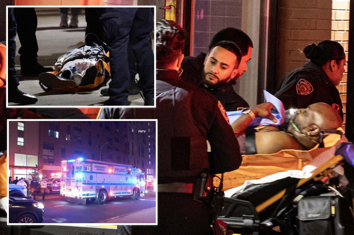 Elderly Love Triangle Explodes in Violence in Bronx Apartment
