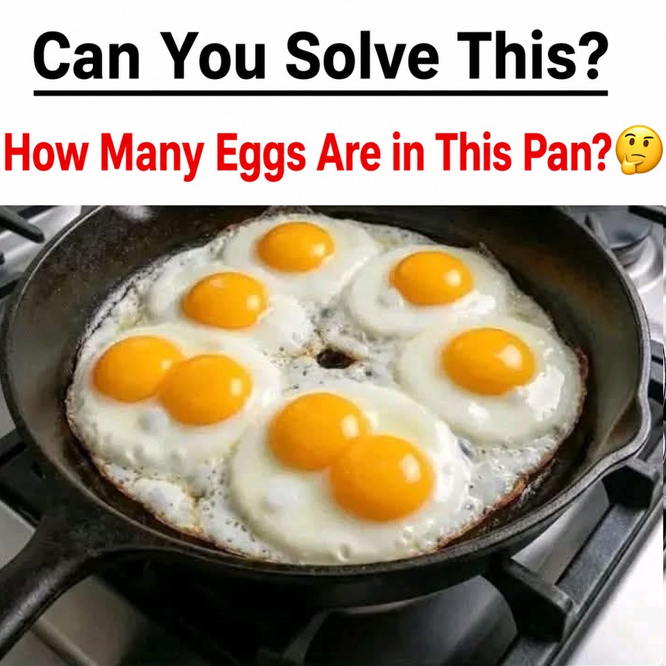 The Egg Puzzle That’s Stumping Everyone: Can You Solve It?