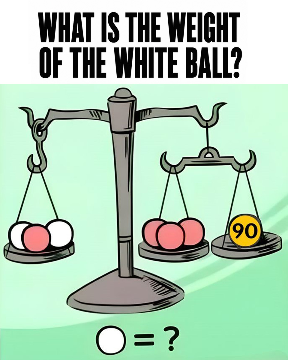 The Puzzle Trick That Stumped Everyone: The Truth Behind the White Ball's Weight