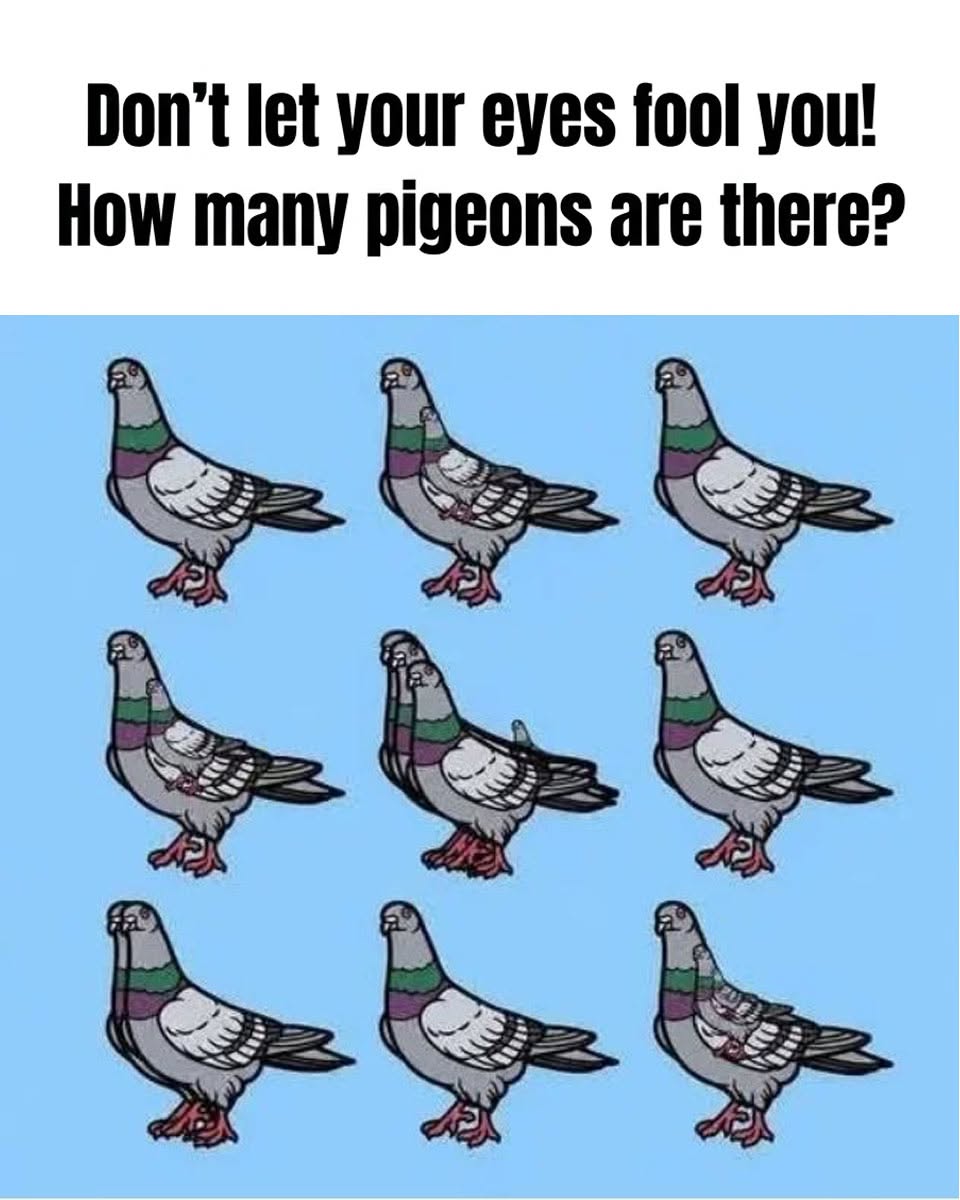 Can You Spot All the Hidden Pigeons in This Mind-Boggling Image?