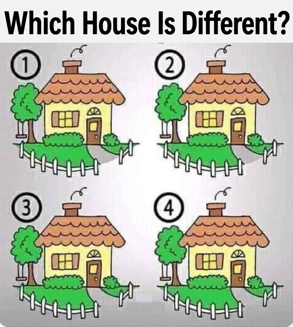 Can You Spot the Odd House Out? The Internet is Buzzing!