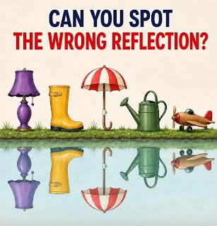 The Hidden Reflection Error Everyone's Trying to Spot