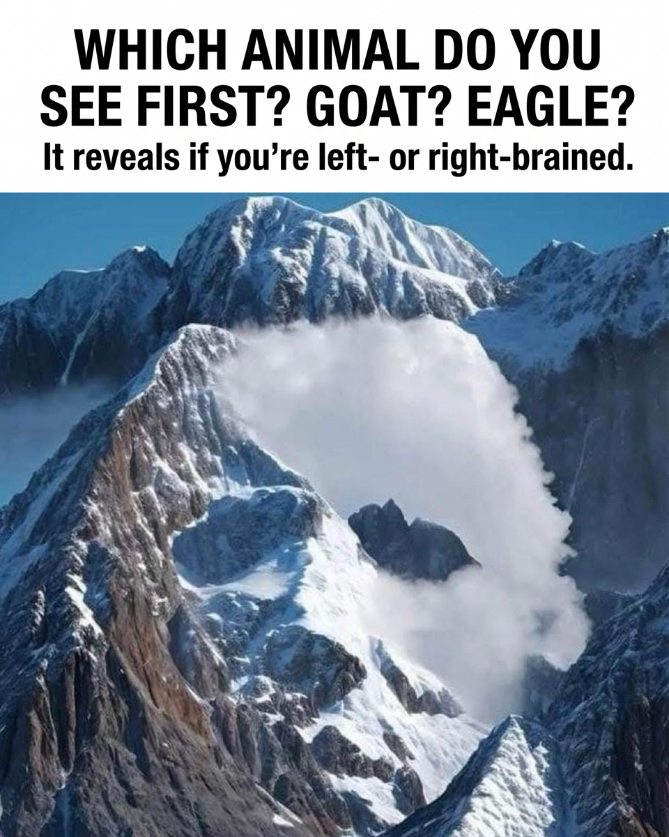 What Your First Glimpse of the Mountain Reveals About Your Brain