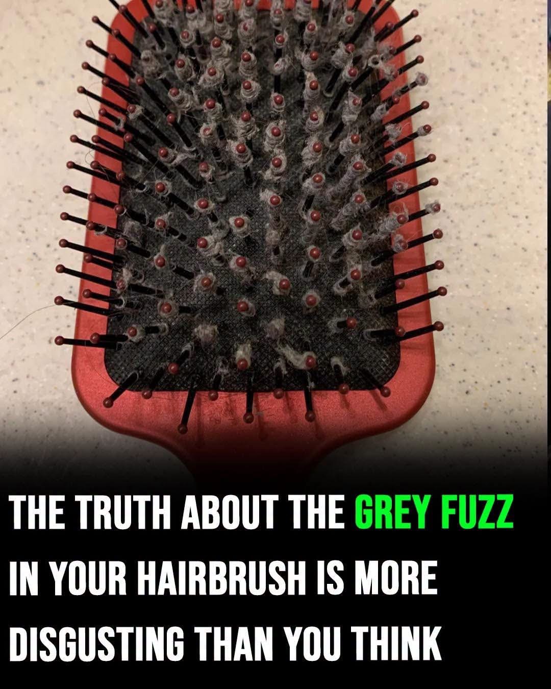 The Surprising Truth Behind That Grey Fuzz in Your Hairbrush