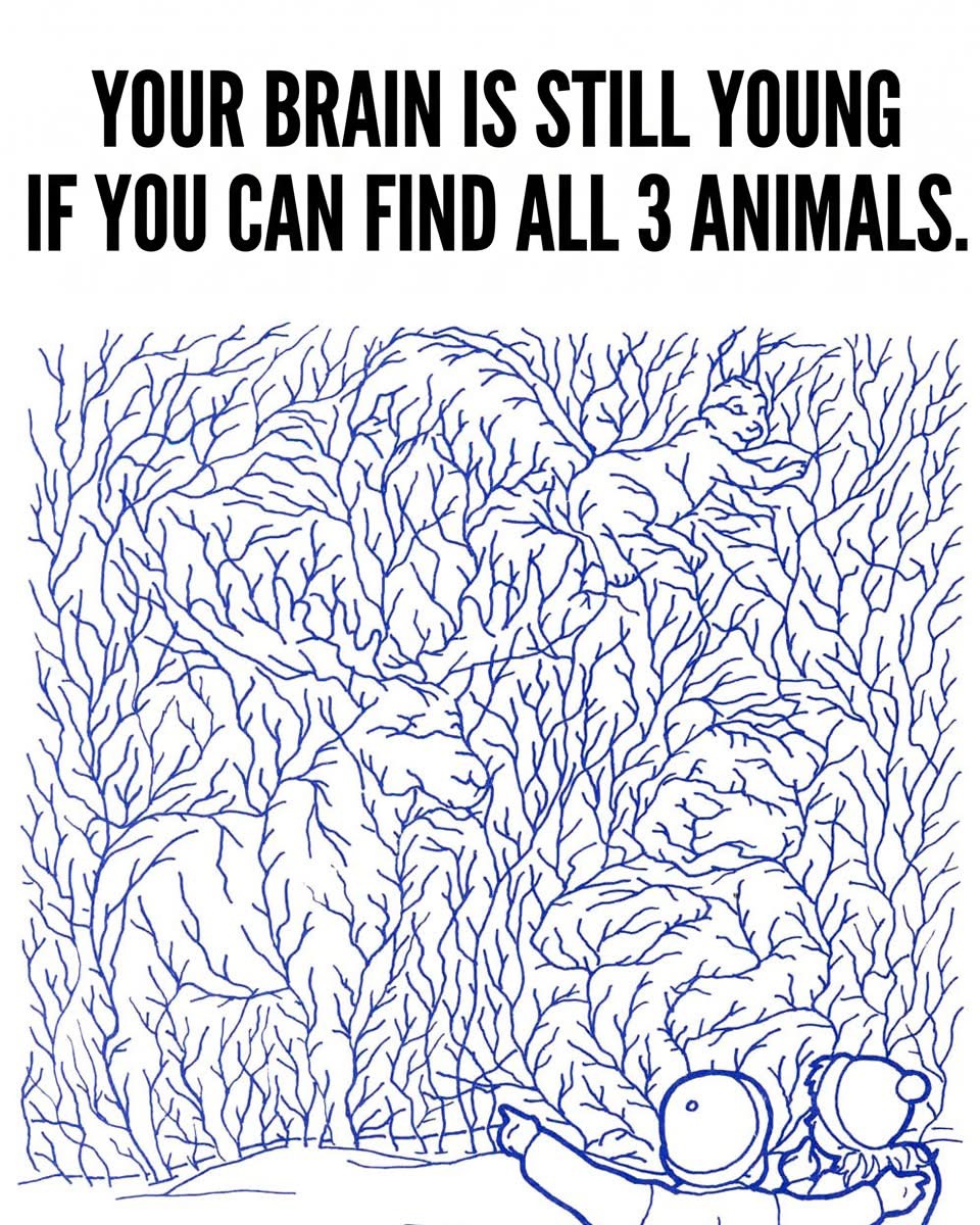 Can You Spot All 3 Hidden Animals in This Mind-Bending Puzzle?