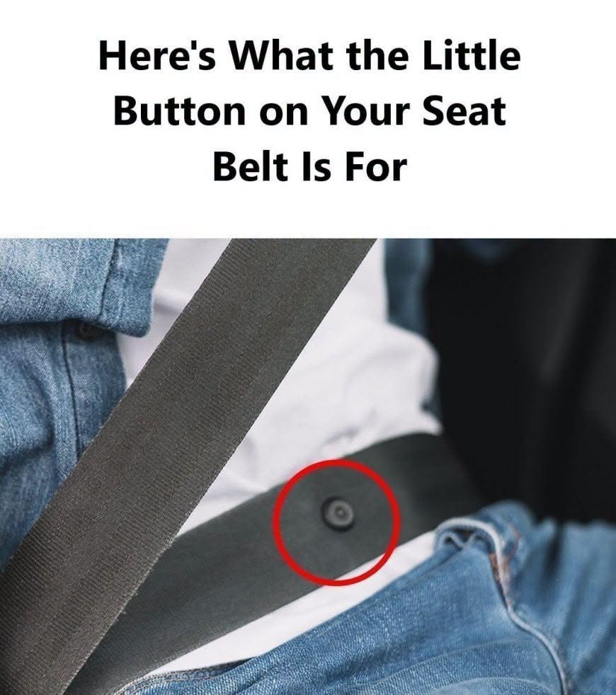 Why That Tiny Button on Your Seat Belt Matters More Than You Think