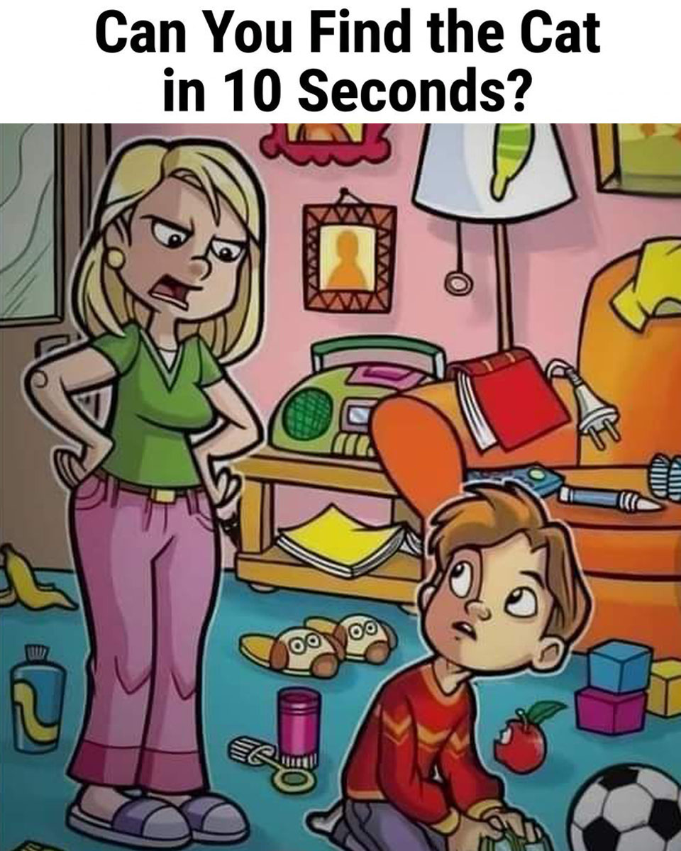Can You Spot the Hidden Cat in This Chaotic Scene?