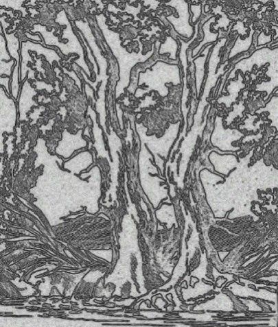 Can You Spot the Hidden Girl Among the Trees?
