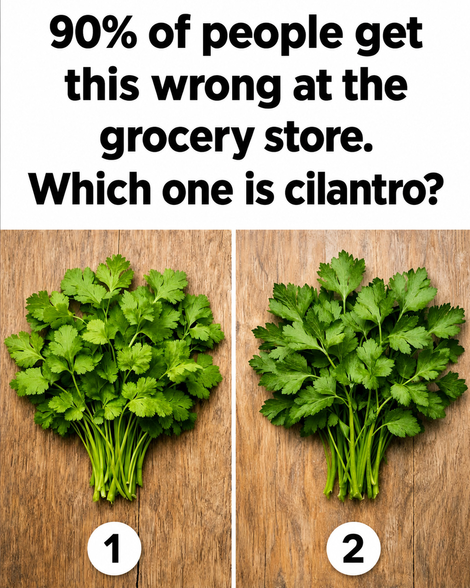 The Herb Mix-Up: Why Cilantro and Parsley Confuse Shoppers