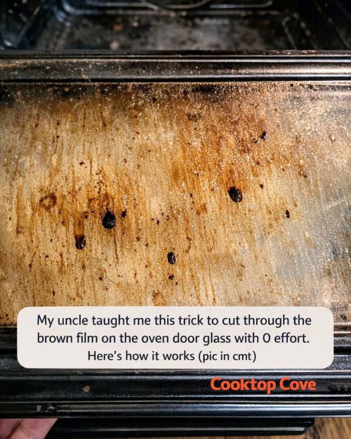 The Surprising Cleaning Hack for Oven Glass Everyone’s Talking About