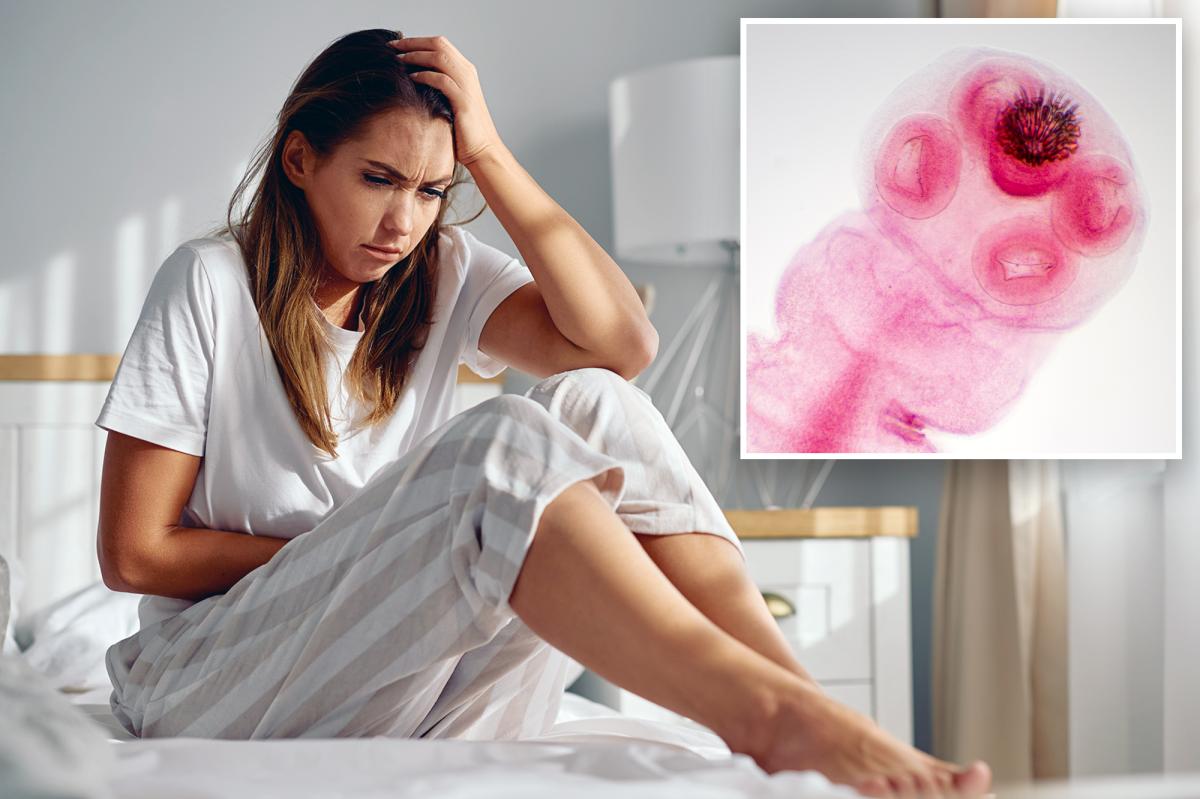 Could a Tapeworm Drug Be the Game-Changer for Endometriosis?