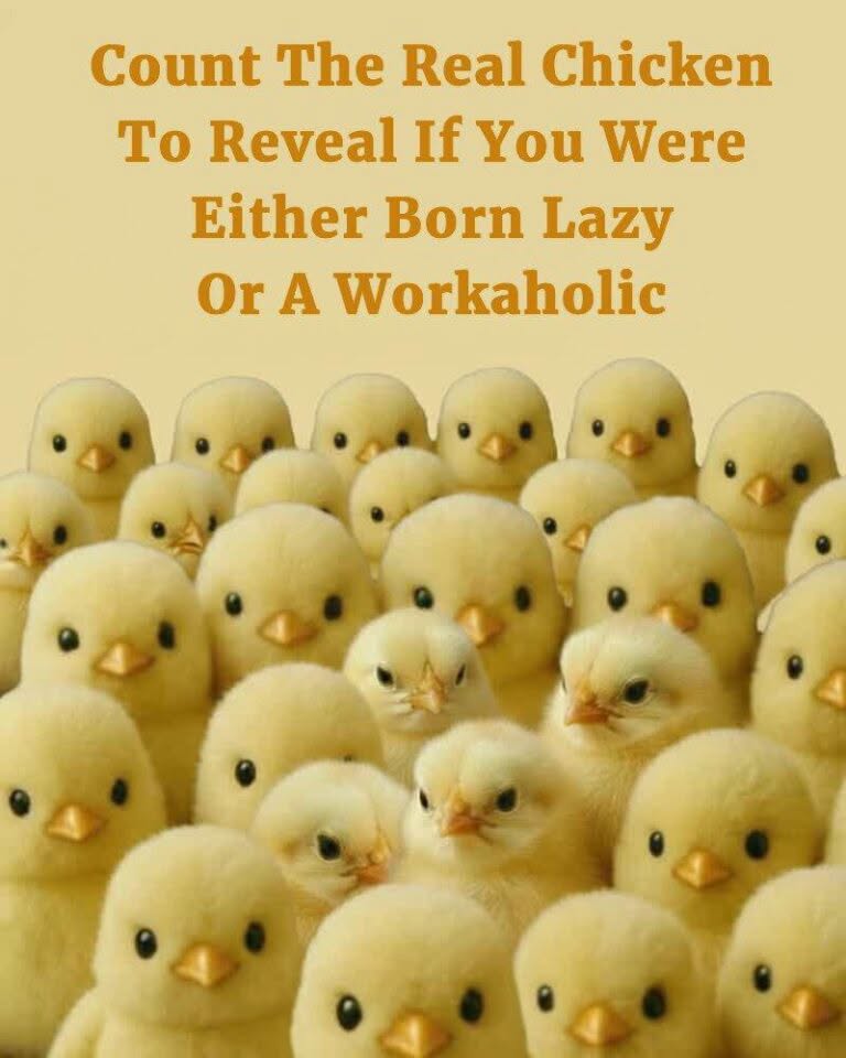 Can You Spot the Real Chicks? This Puzzle Is Driving People Crazy!