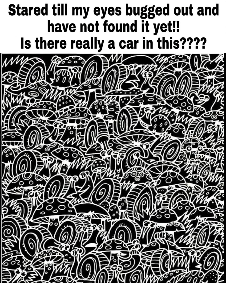 Can You Find the Hidden Car in This Viral Puzzle?