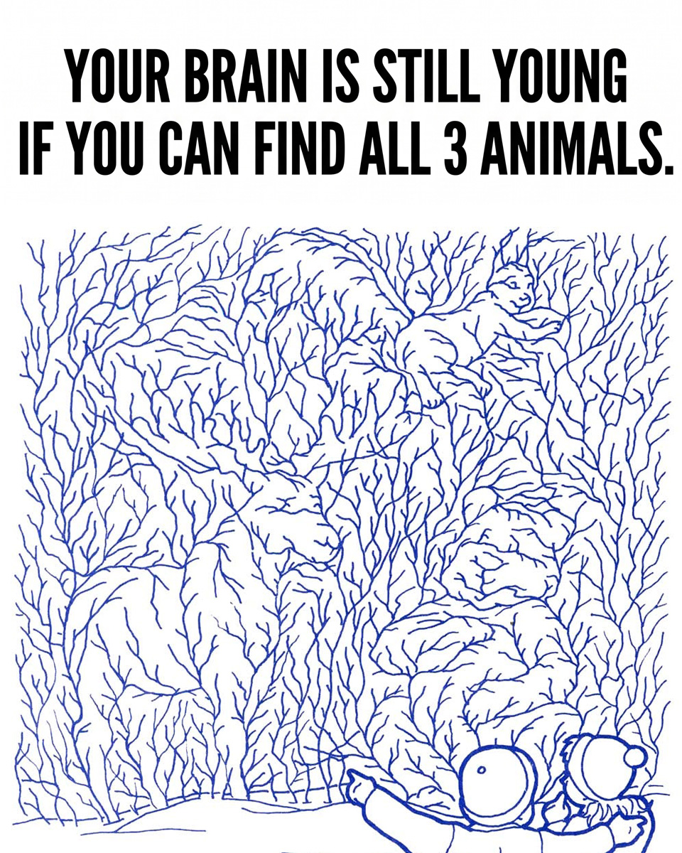 Can You Spot All 3 Animals in This Mind-Boggling Puzzle?